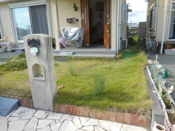 Before画像