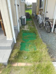 Before画像