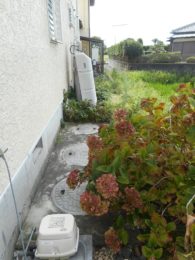 Before画像