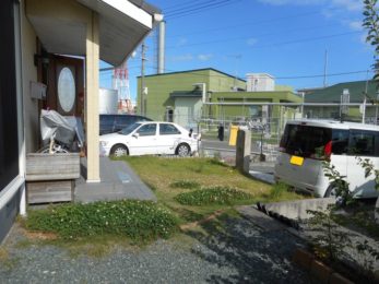 Before画像