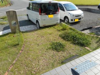 Before画像