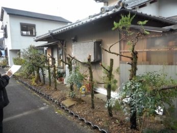Before画像
